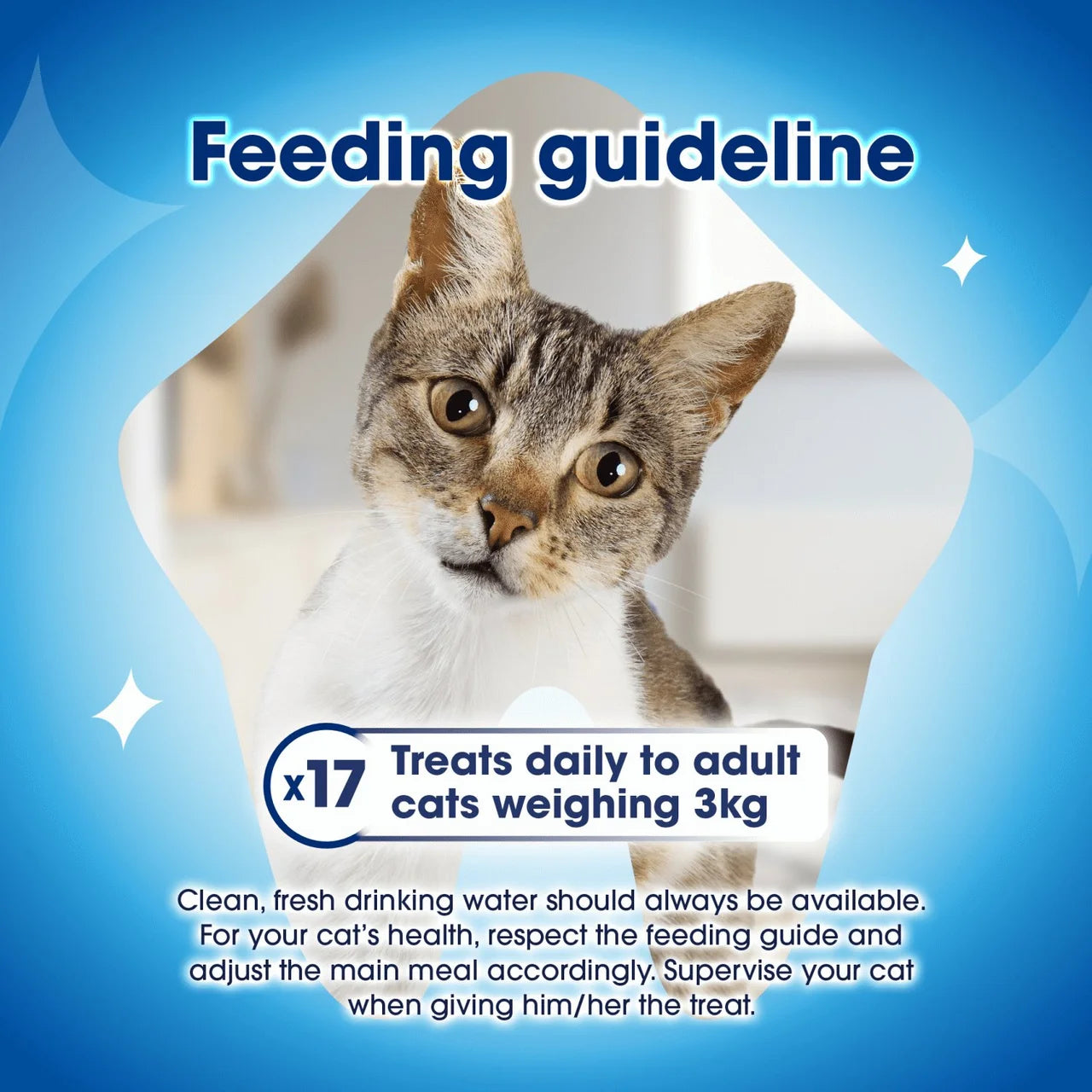 Dentalife Dental Chicken Cat Treats 40g
