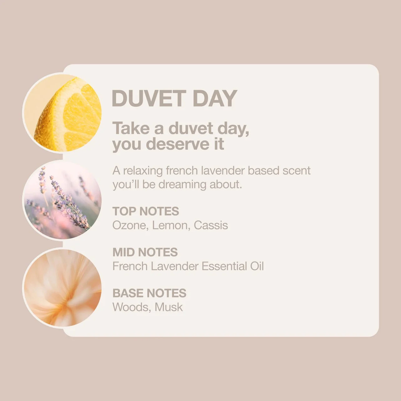 Tallow + Ash Duvet Day Laundry Shampoo 800ml