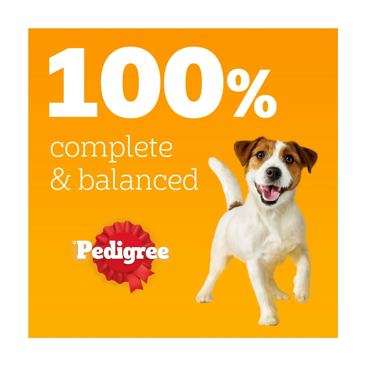 Pedigree Adult Dog Pouches Mixed Selection in Jelly 12 x 100g