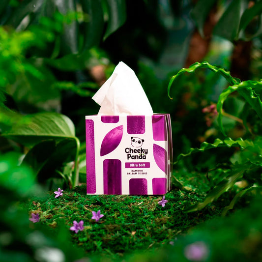 Cheeky Panda Bamboo 4 Ply Balsam Cube Tissues 48 per pack
