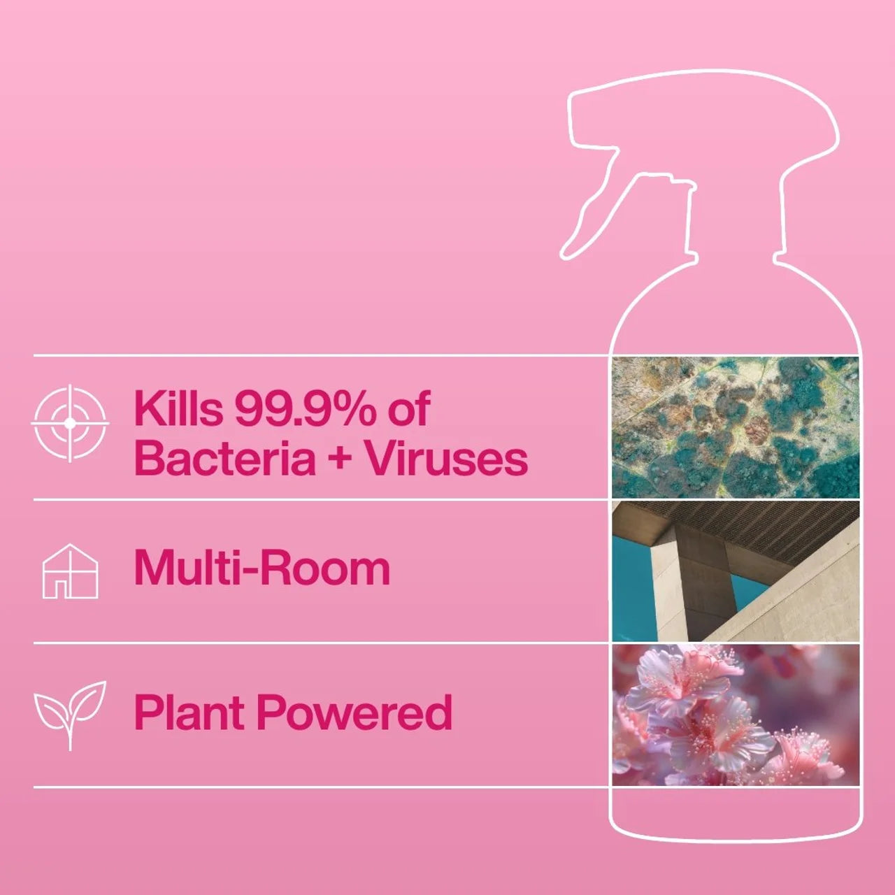 INEOS Antibac Multi-Room Spray Rhubarb + Pomegranate 750ml