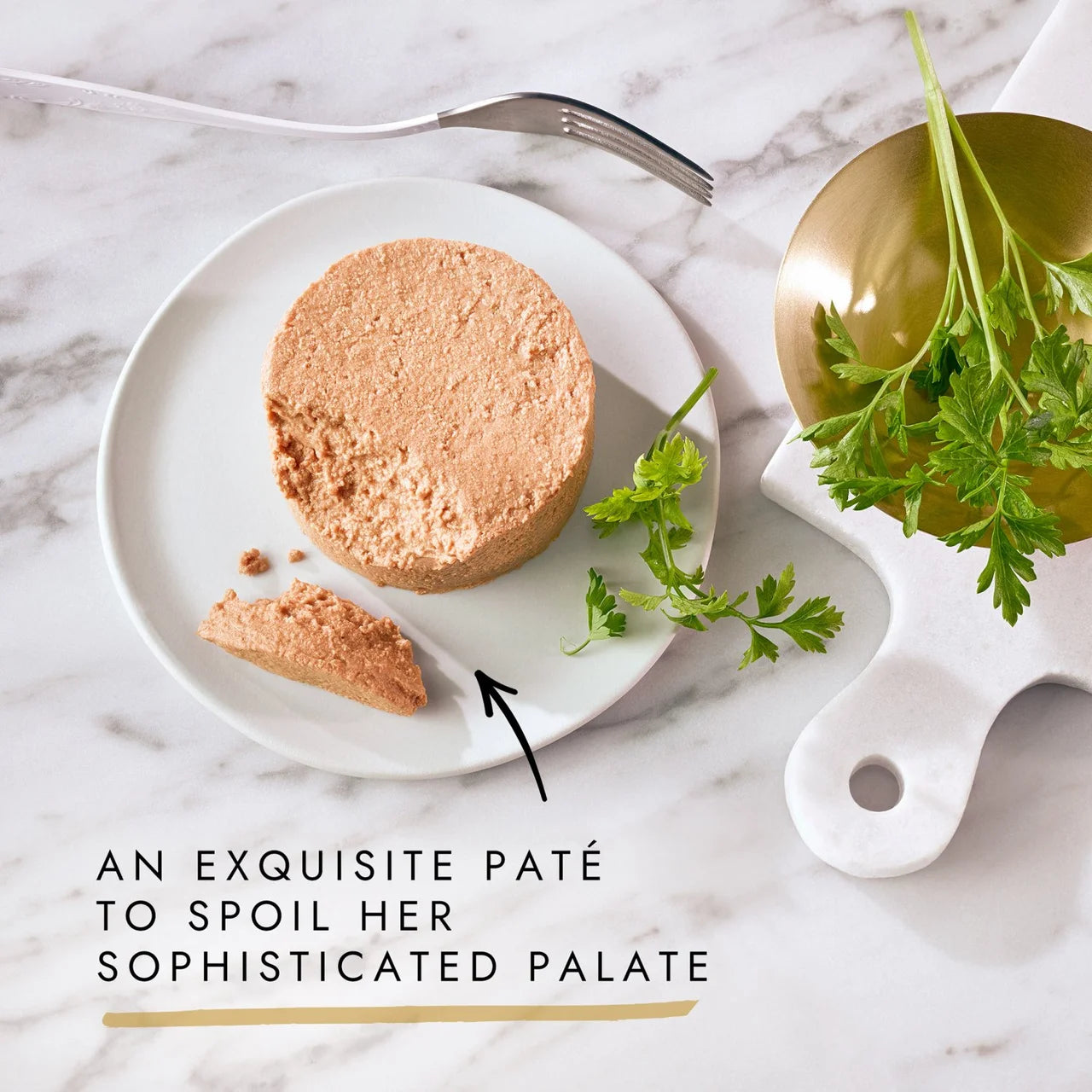 Gourmet Gold Pate Recipes Wet Cat Food 8 x 85g