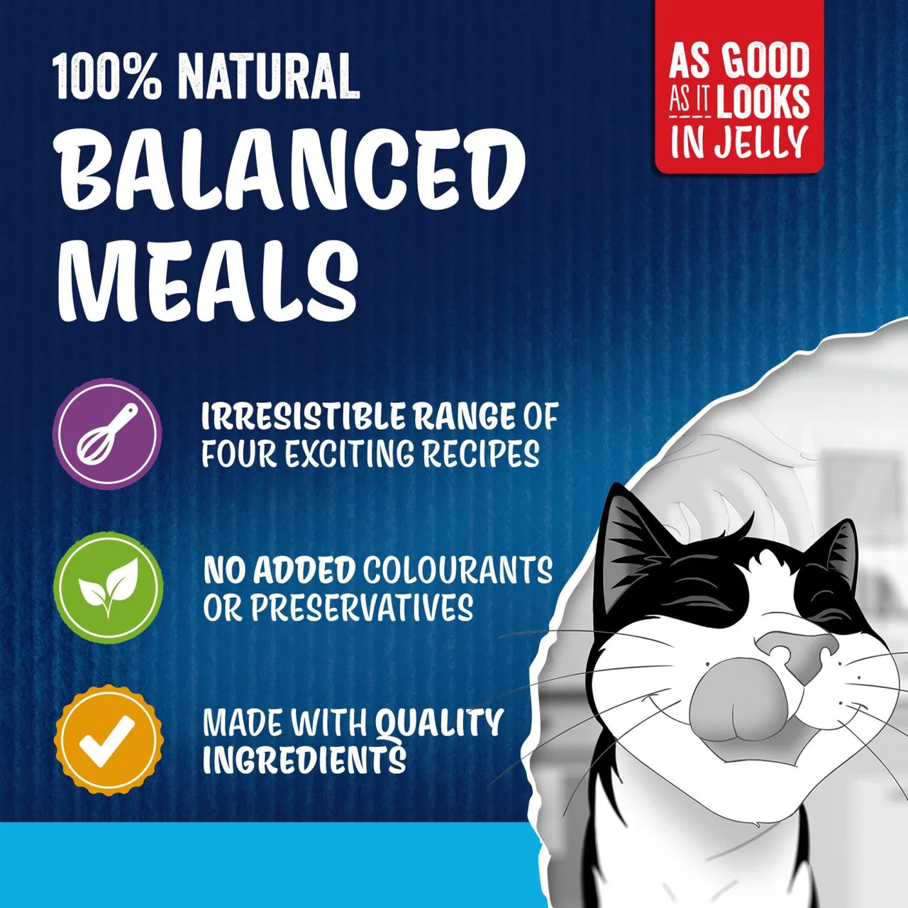Felix As Good As it Looks Senior 7+ Fish in Jelly Wet Cat Food 40 x 85g