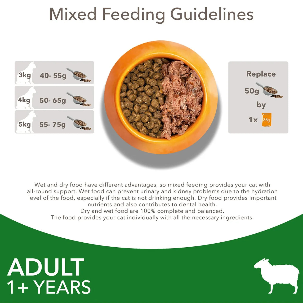 IAMS Advanced Nutrition Adult Cat Food With Lamb 800g