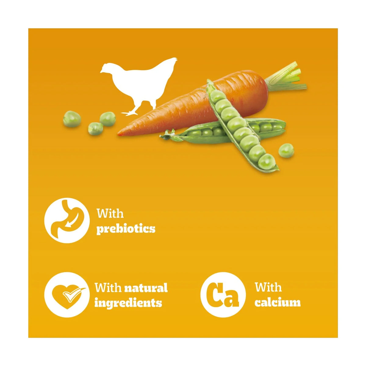 Pedigree Complete Junior Puppy Dry Dog Food Poultry & Vegetables 3kg
