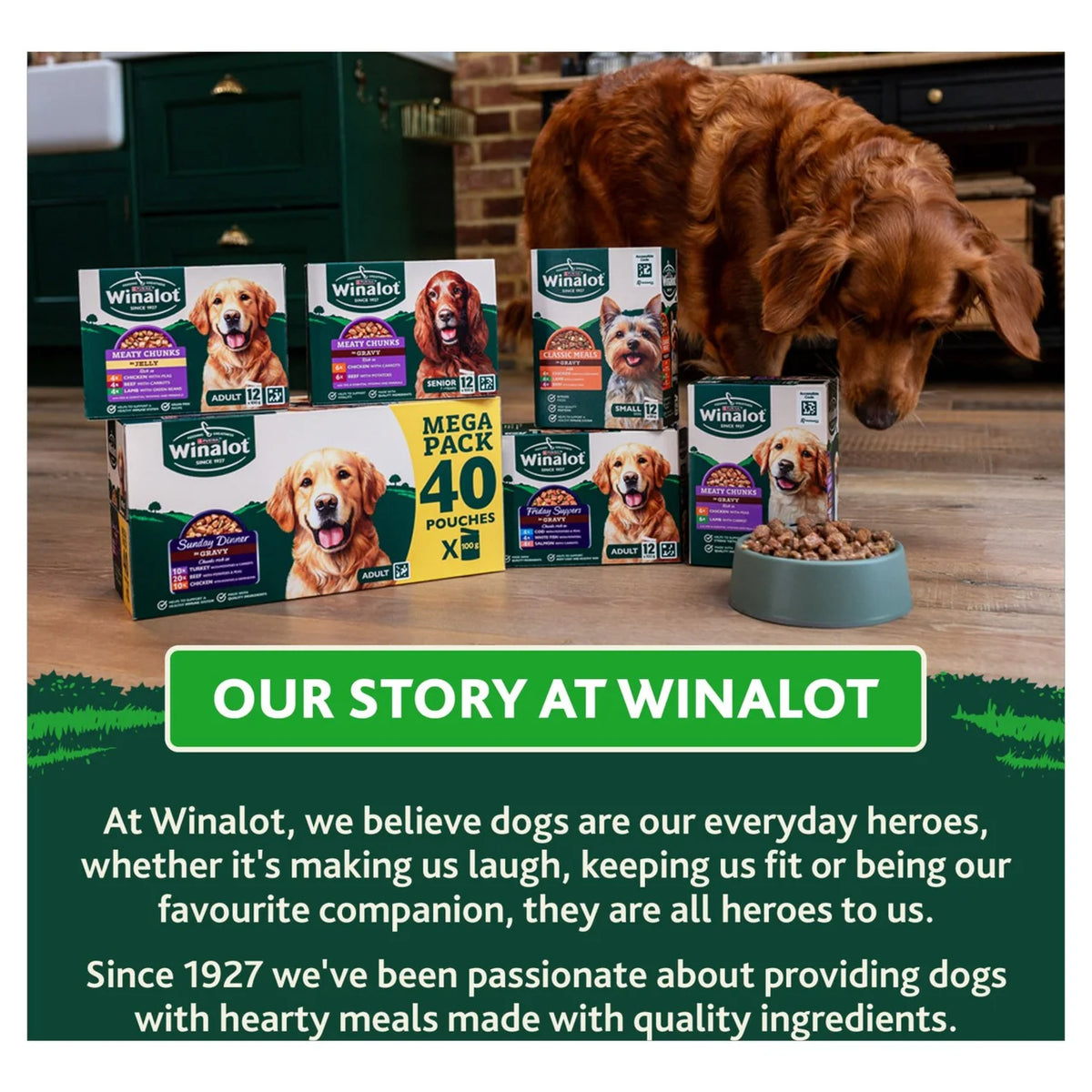 Winalot Monday Meaty Casseroles Chicken, Turkey, Duck in Gravy Wet Dog Food 12 x 85g