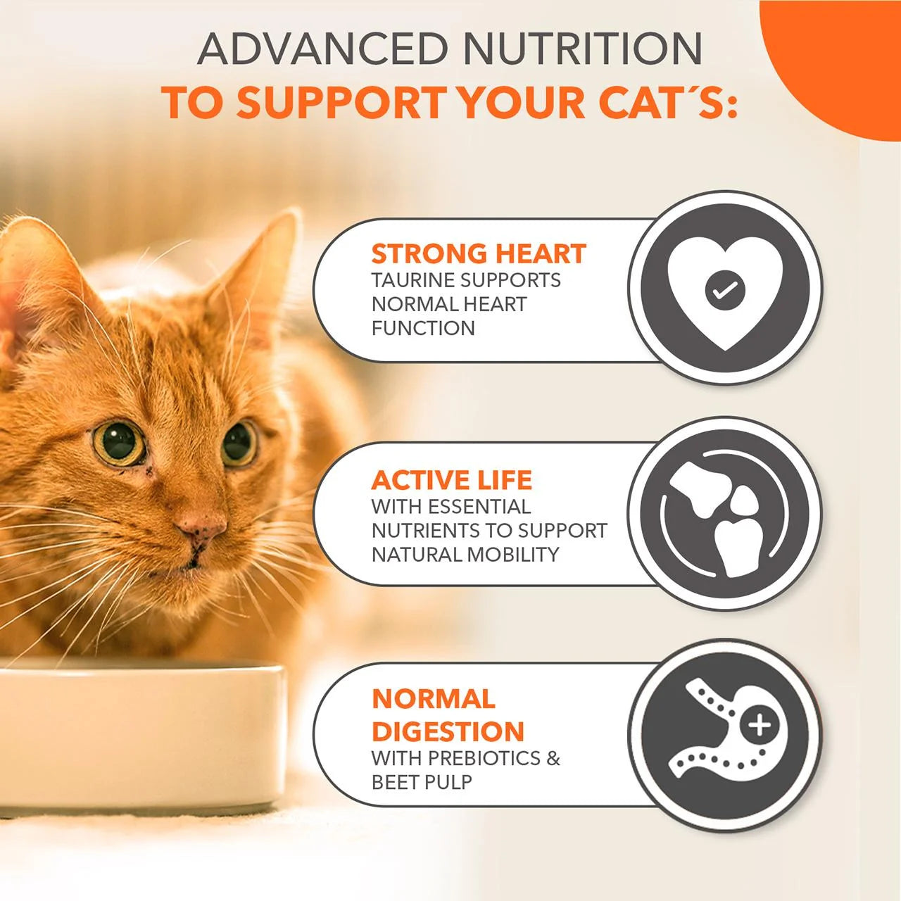 IAMS Senior 11+ Dry Cat Food Chicken 3kg