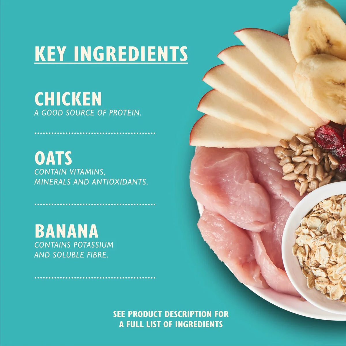 Lily's Kitchen Breakfast Crunch for Dogs  800g