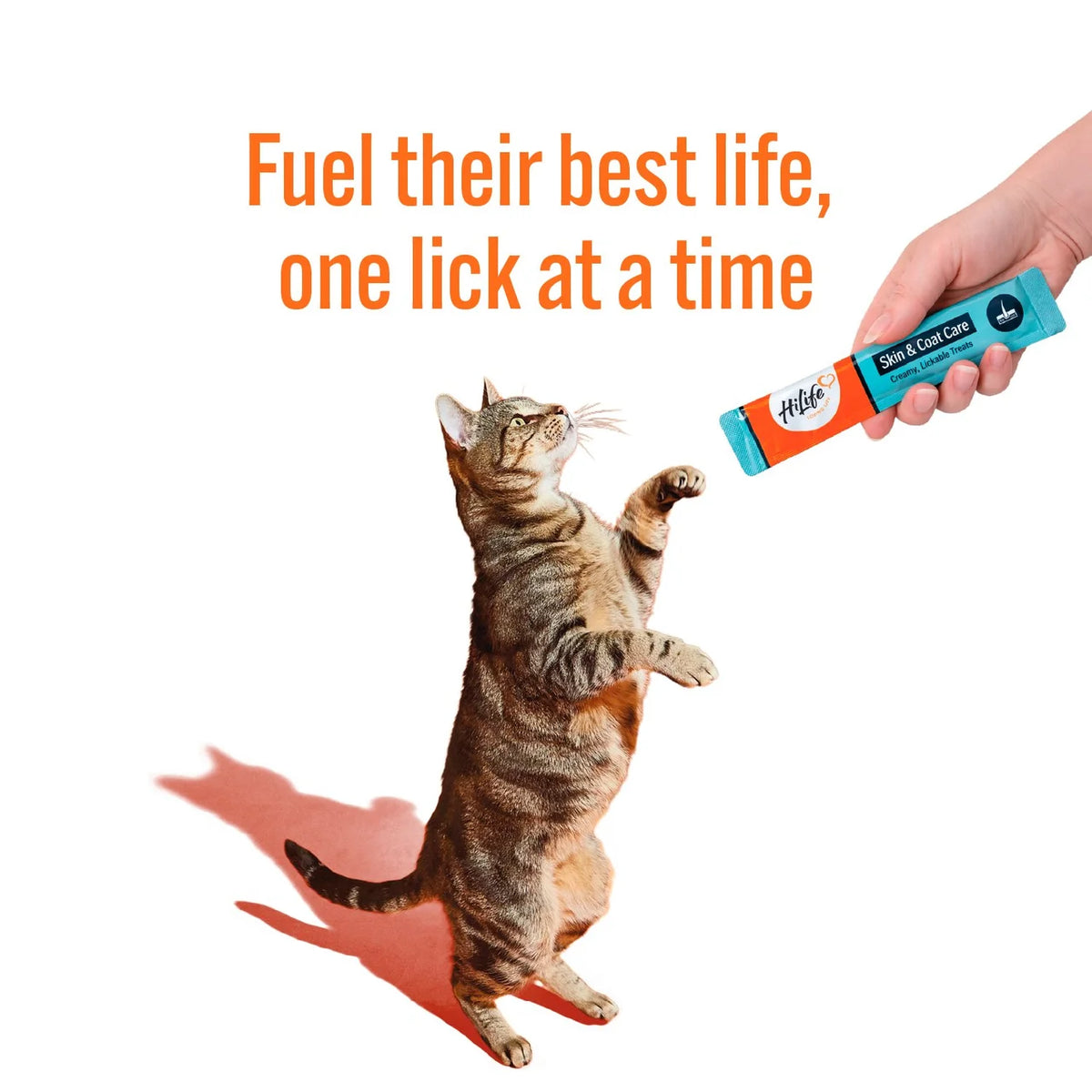 HiLife Functional Cat Licks Skin & Coat Care 5 x 15g