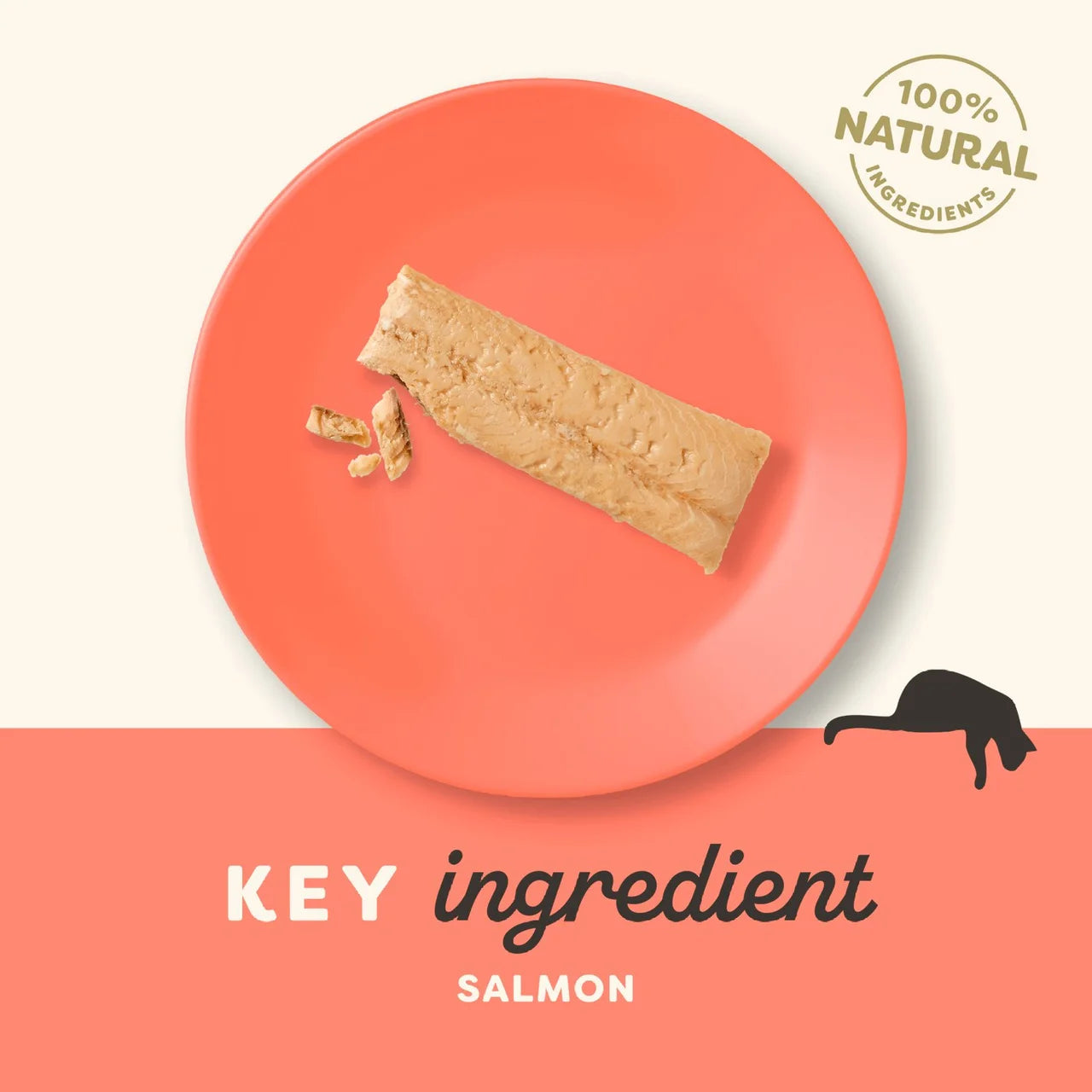 Applaws Natural Cat Treat Salmon Loin Grain Free 30g