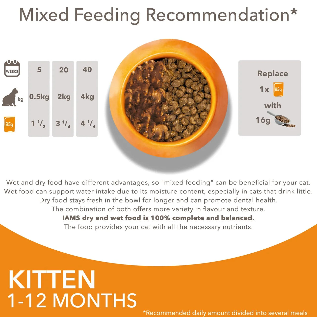 Iams Delights Kitten Chicken in Gravy Multipack 12 x 85g