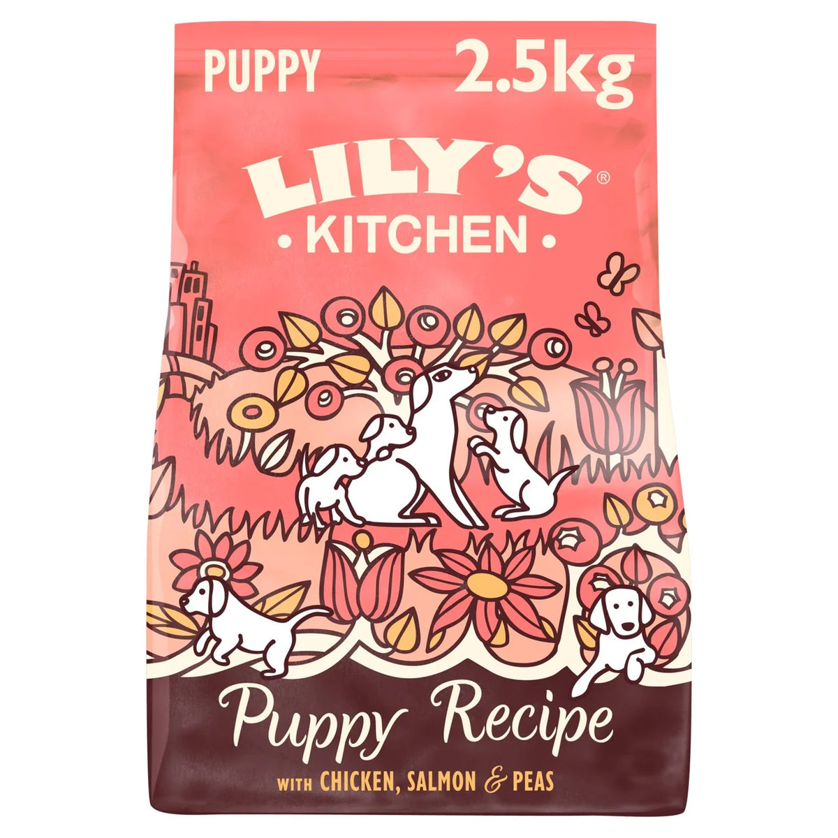 Lily's Kitchen Dog Chicken & Salmon Puppy Recipe Dry Food 2.5kg