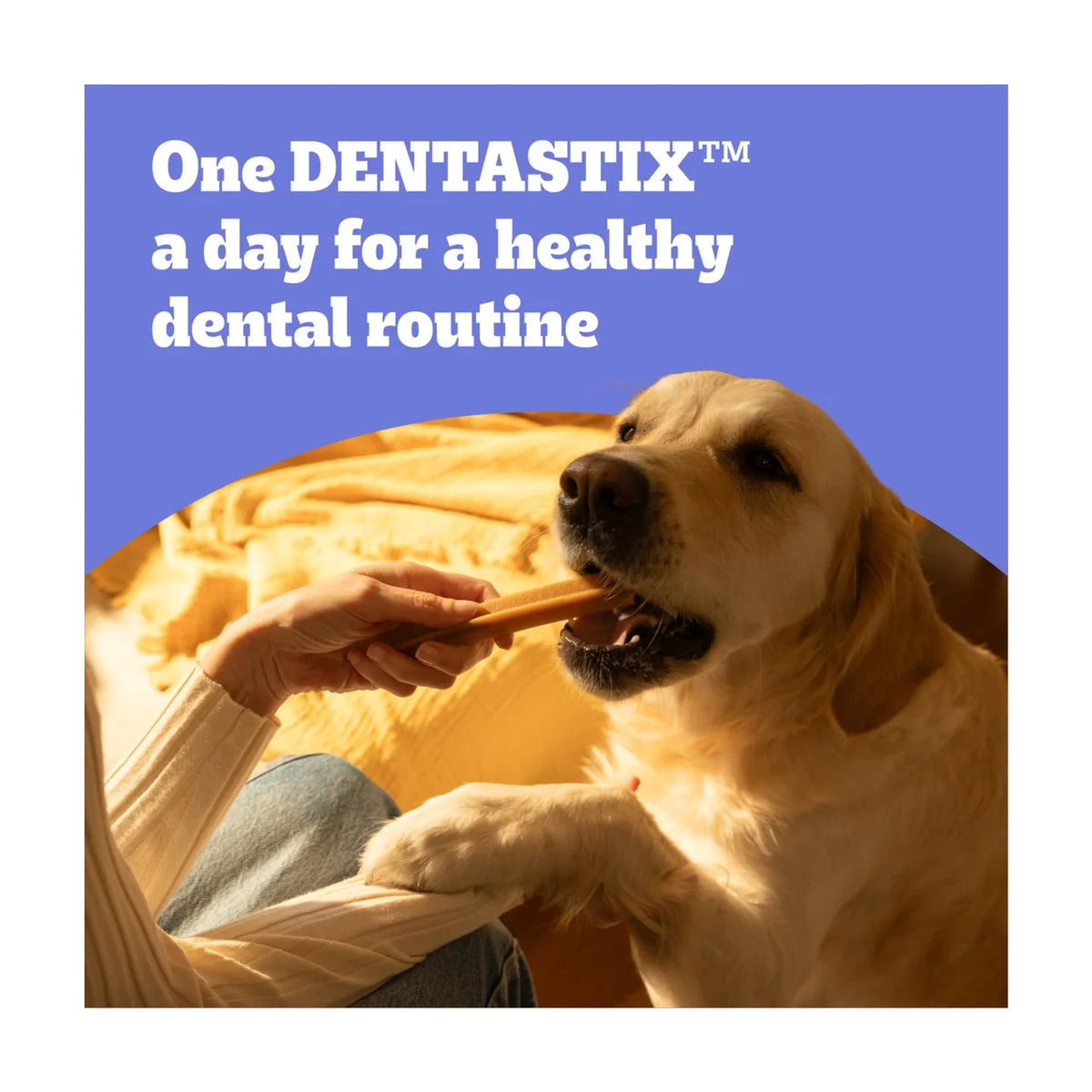 Pedigree Dentastix Daily Adult Large Dog Treats 42 x Dental Sticks