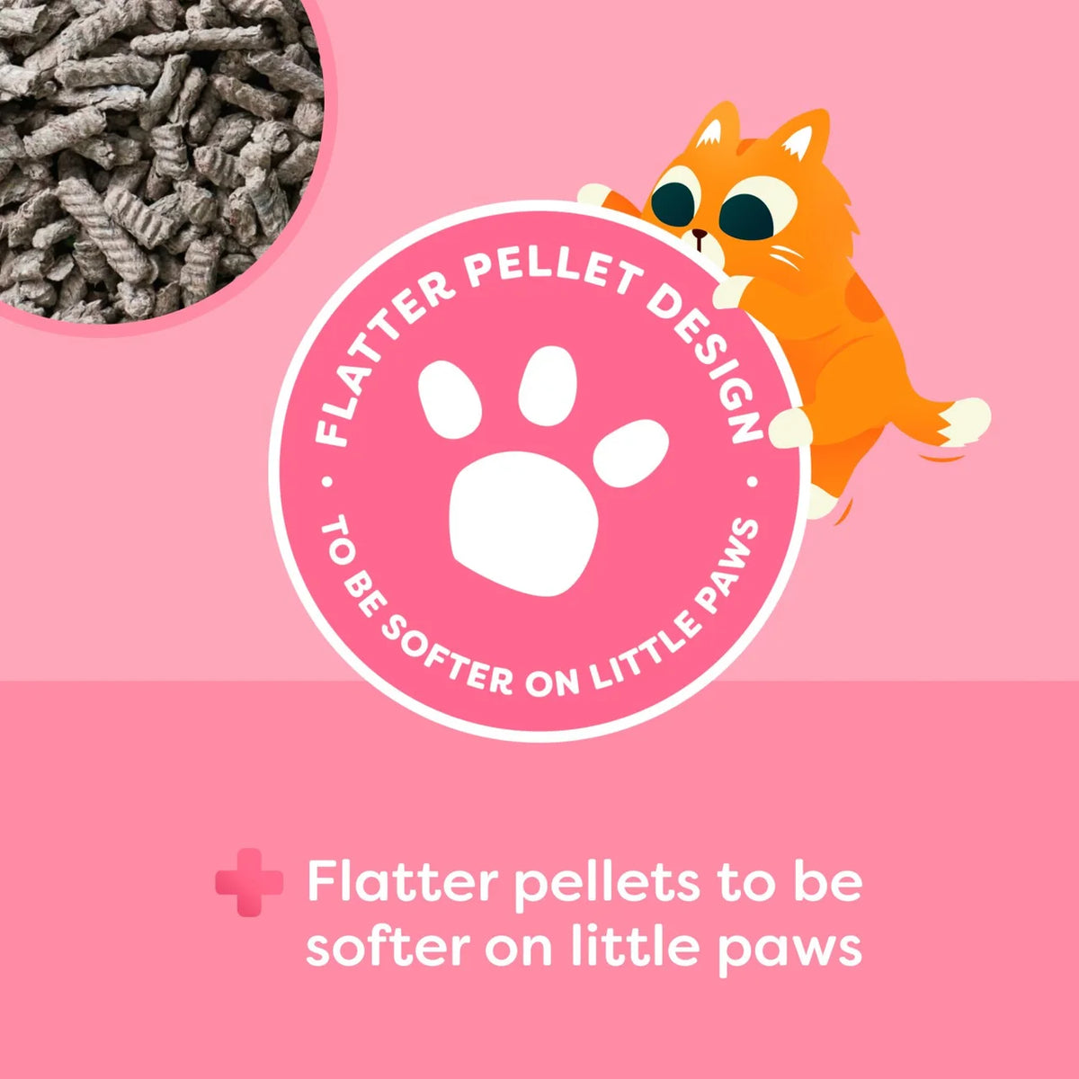 Breeders Choice Pro Biotic Kitten Paper Cat Litter 10L