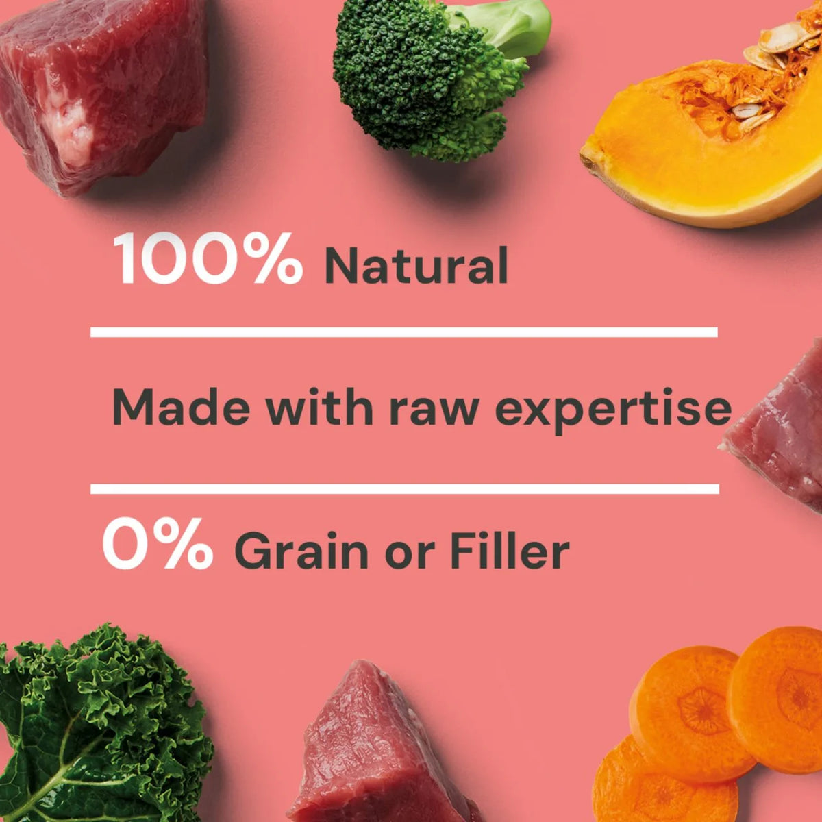 Nutriment Beef Formula Raw Dog Food 500g