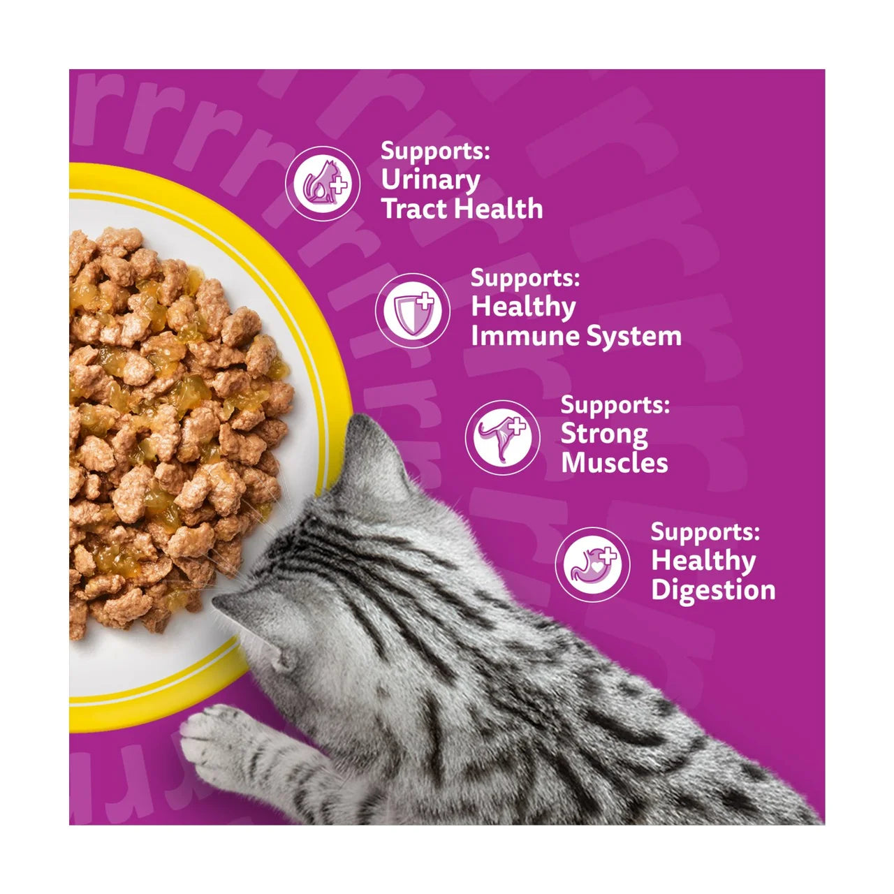 Whiskas 11+ Senior Wet Cat Food Poultry Feasts in Jelly 12 x 85g