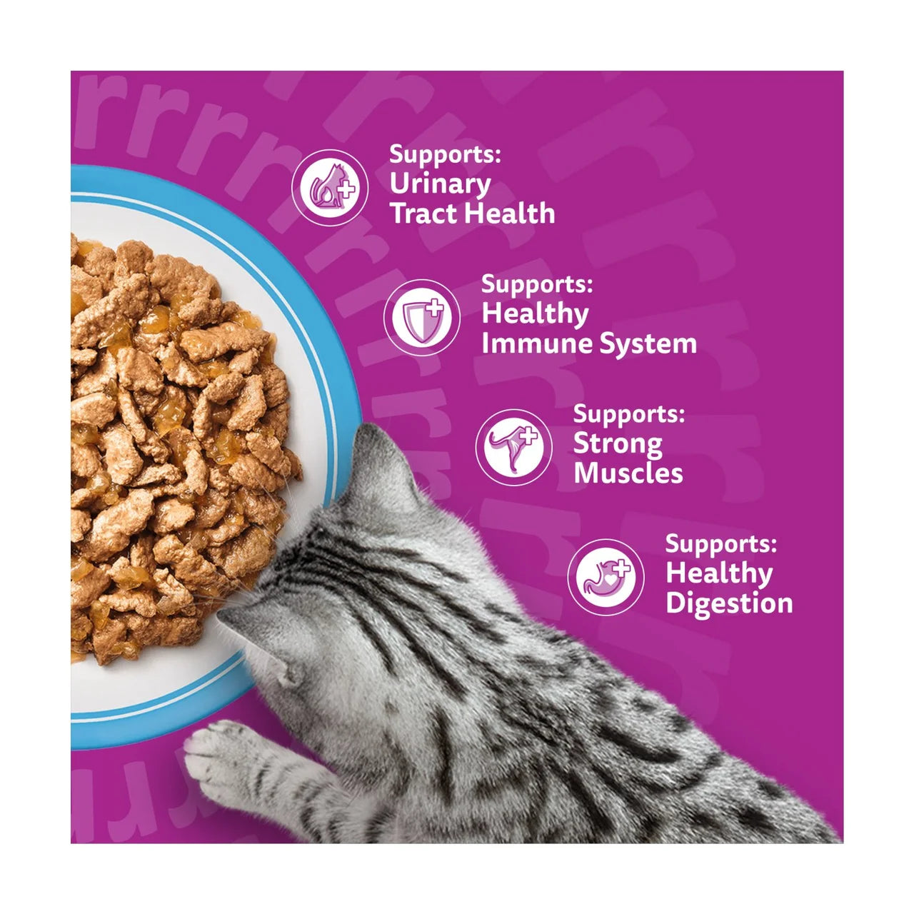Whiskas 7+ Senior Wet Cat Food Fish Favourites in Jelly 12 x 85g