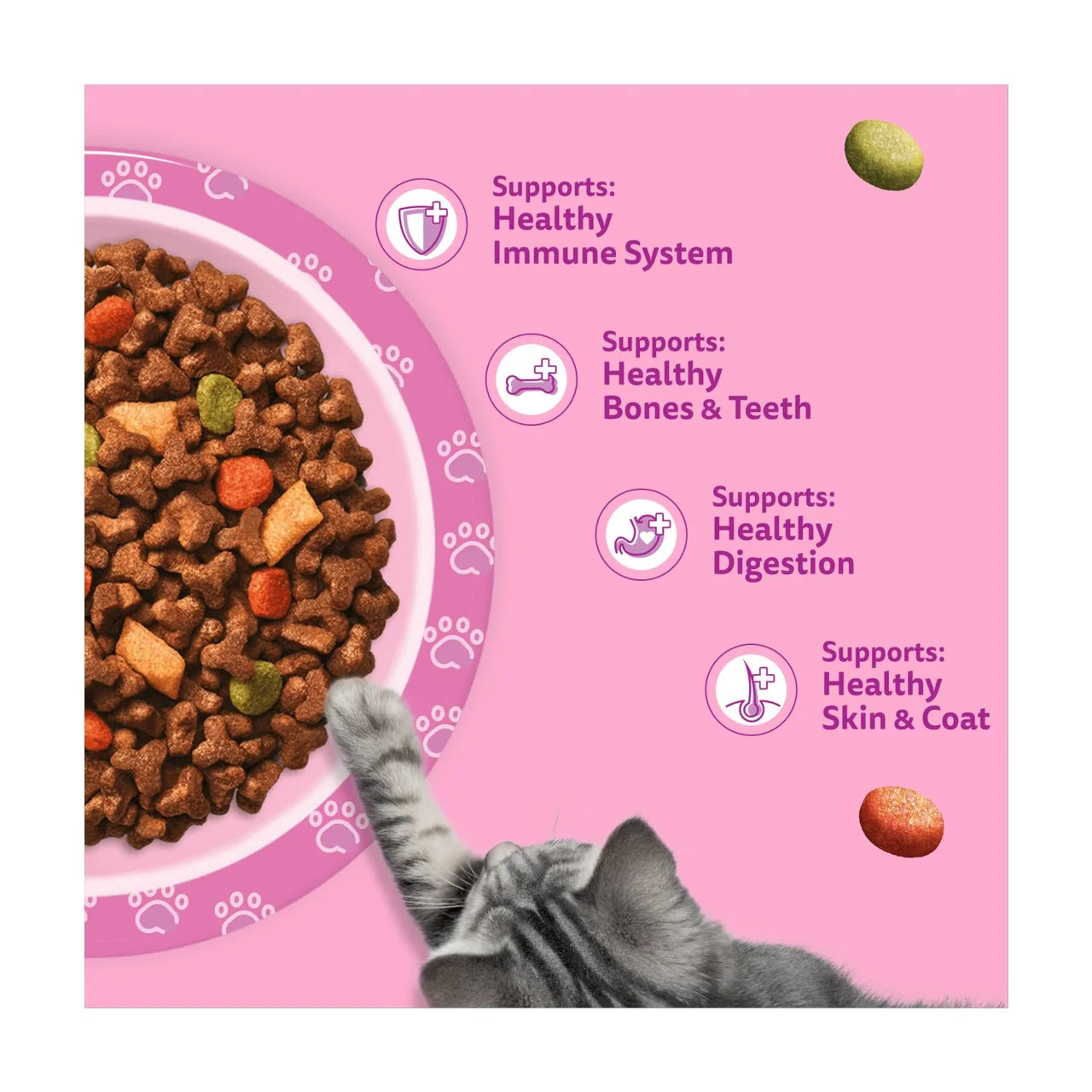Whiskas Kitten Chicken Dry Cat Food 800g