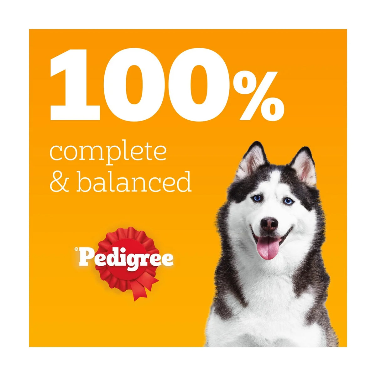 Pedigree Protein+ Adult Wet Dog Food Selection in Gravy Pouch 12 x 85g