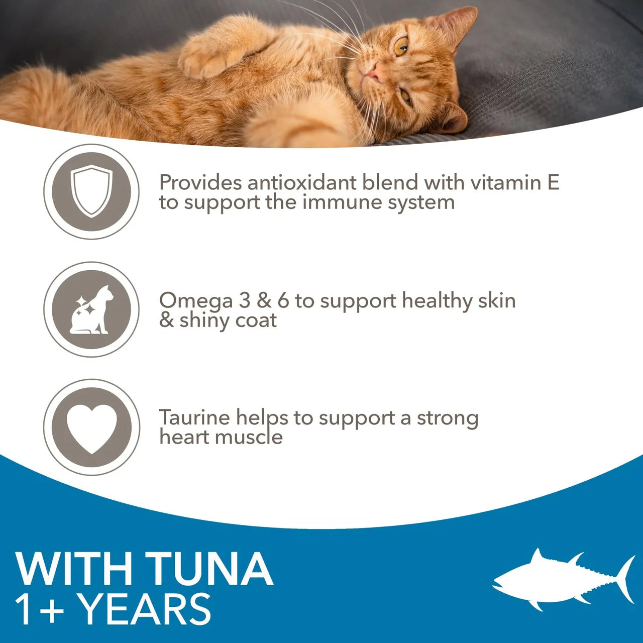 IAMS Advanced Nutrition Adult Dry Cat Food Tuna 800g