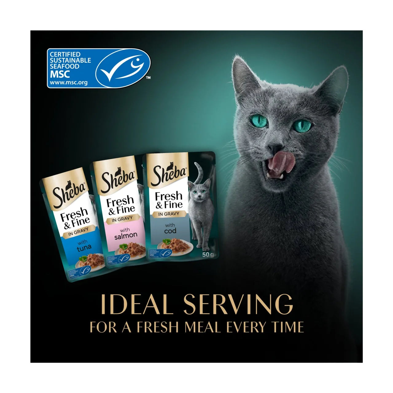 Sheba Fresh & Fine Wet Cat Food Pouches Fish Collection in Gravy 50 x 50g