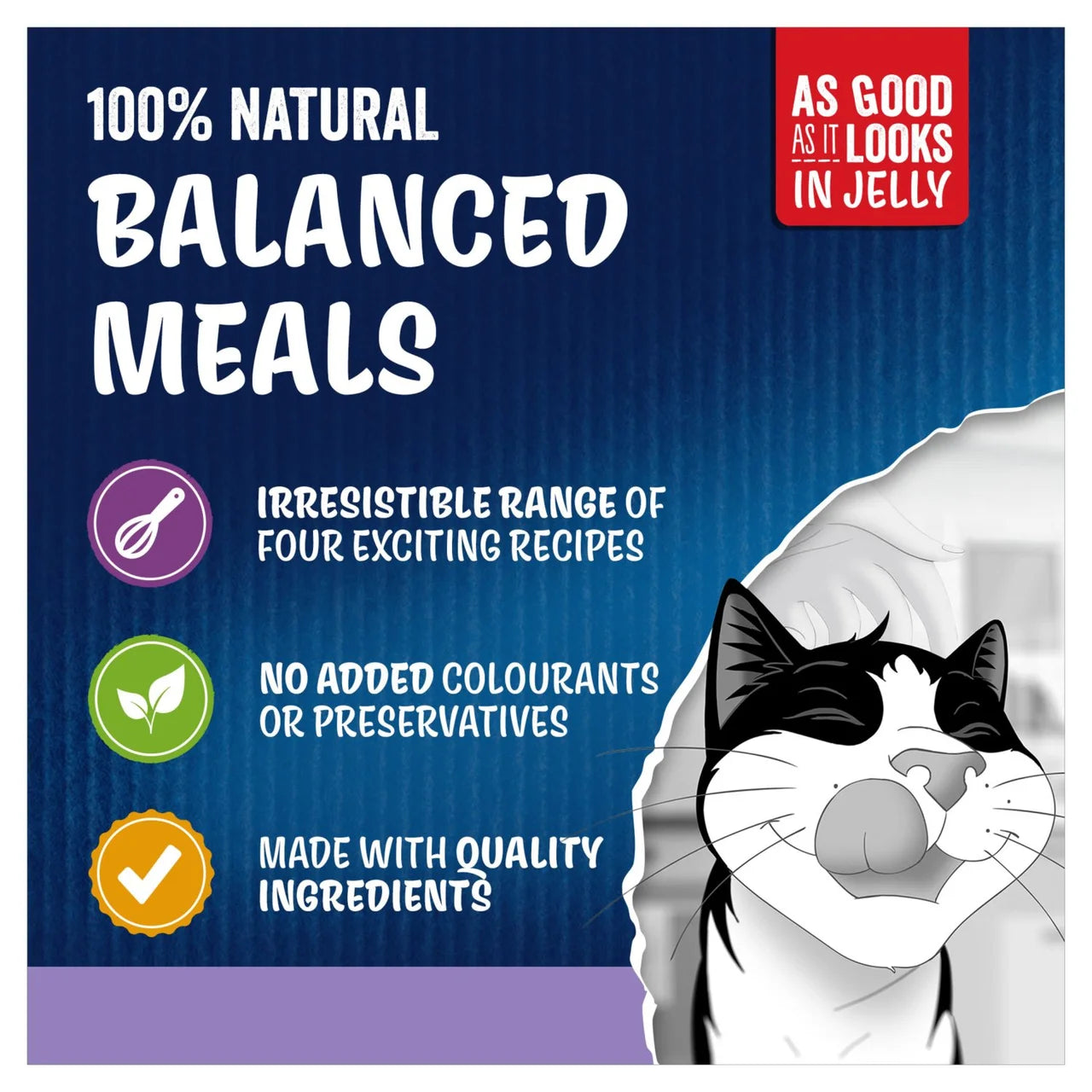 Felix As Good As it Looks Kitten Mixed in Jelly Wet Cat Food 40 x 85g