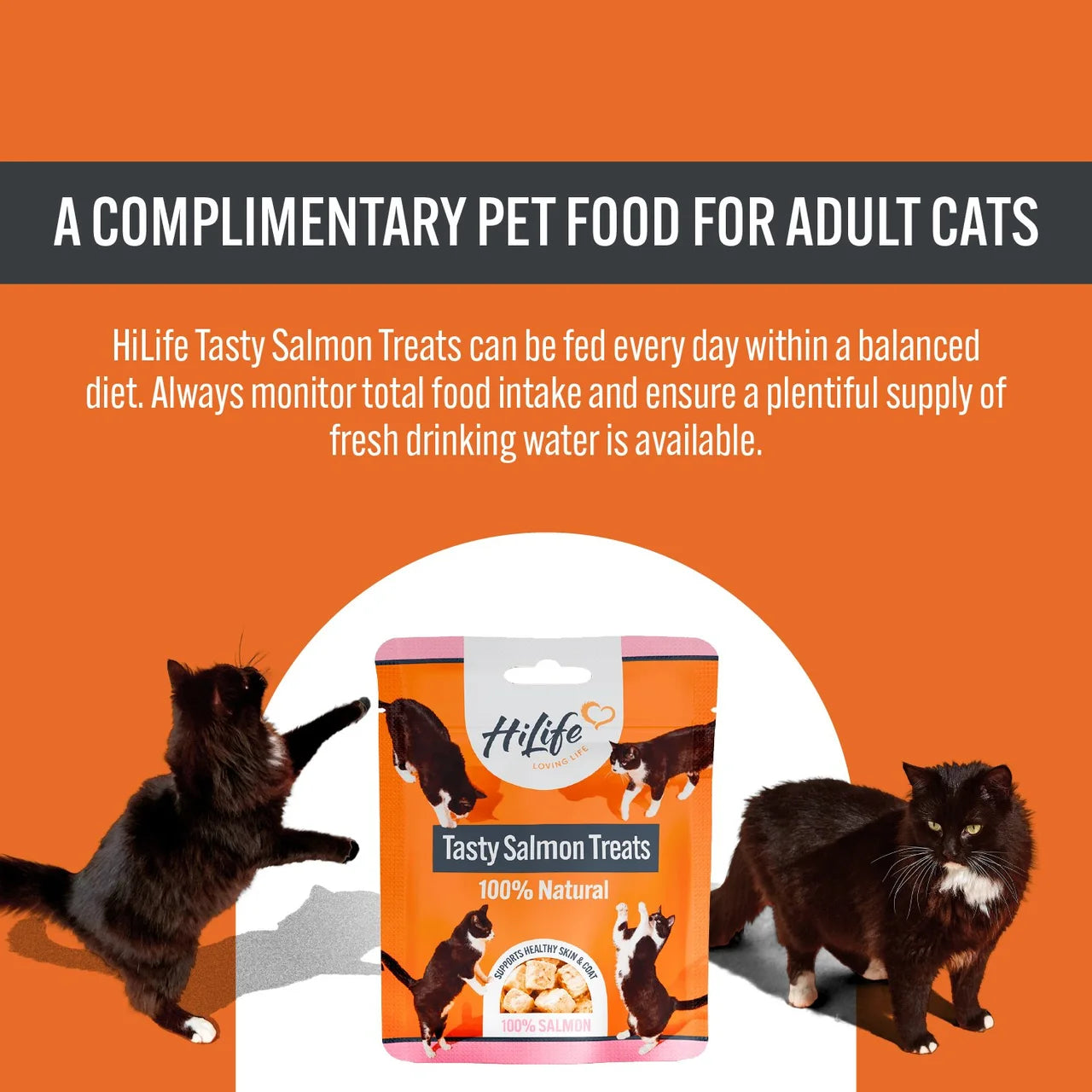 HiLife Salmon Freeze Dried Treats 30g
