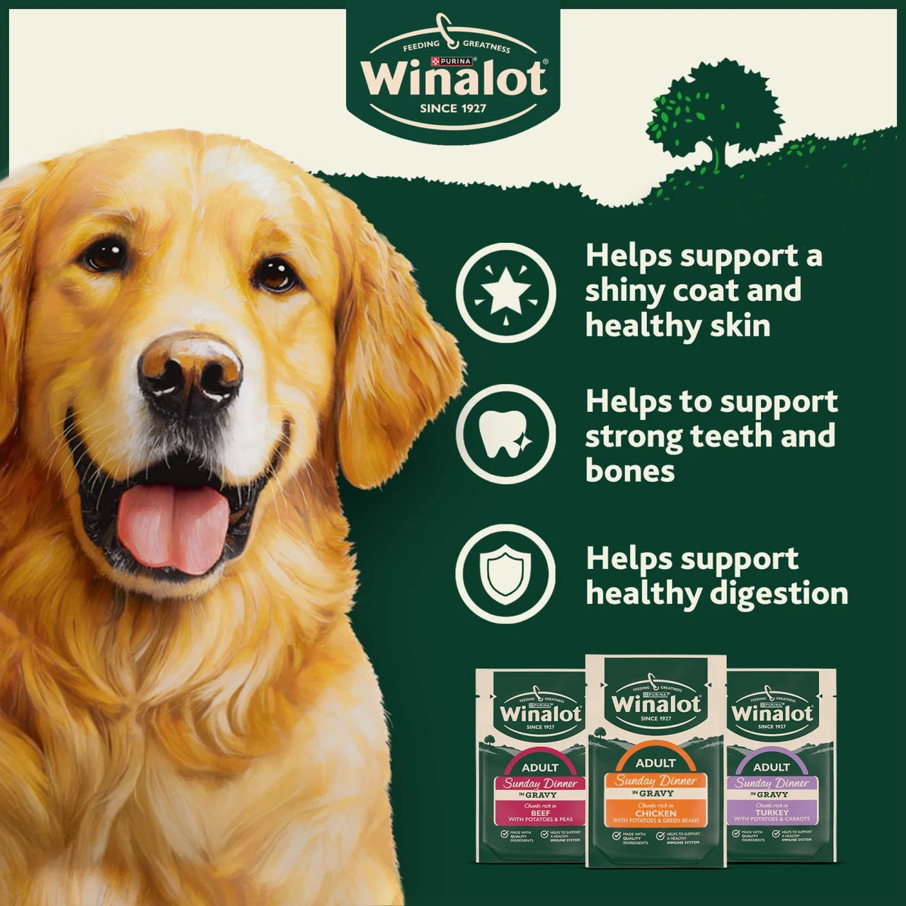 Winalot Sunday Dinner Mixed in Gravy Wet Dog Food 12x100g