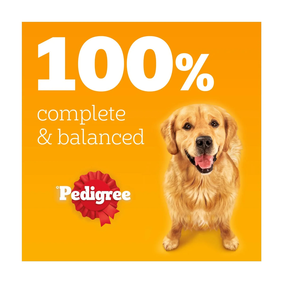 Pedigree Adult Wet Dog Food Tins Country Casseroles in Gravy 6 x 400g