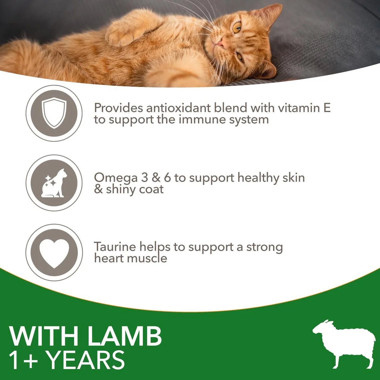 IAMS Adult Dry Cat Food Lamb 3kg