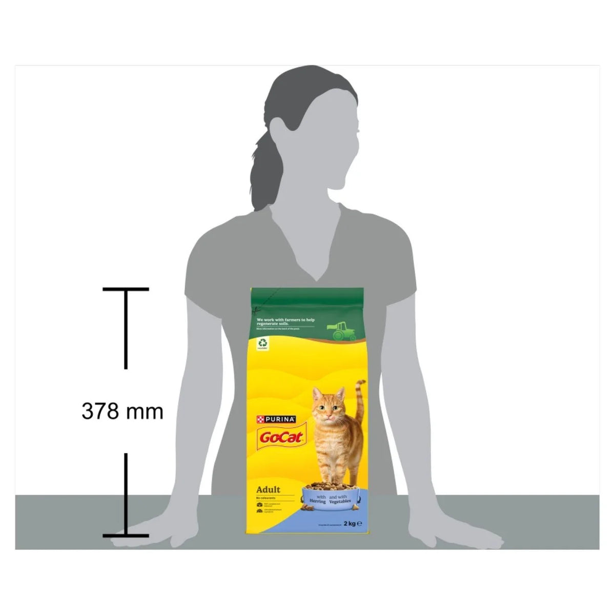 Go-Cat Herring with Vegetables Dry Cat Food 2kg