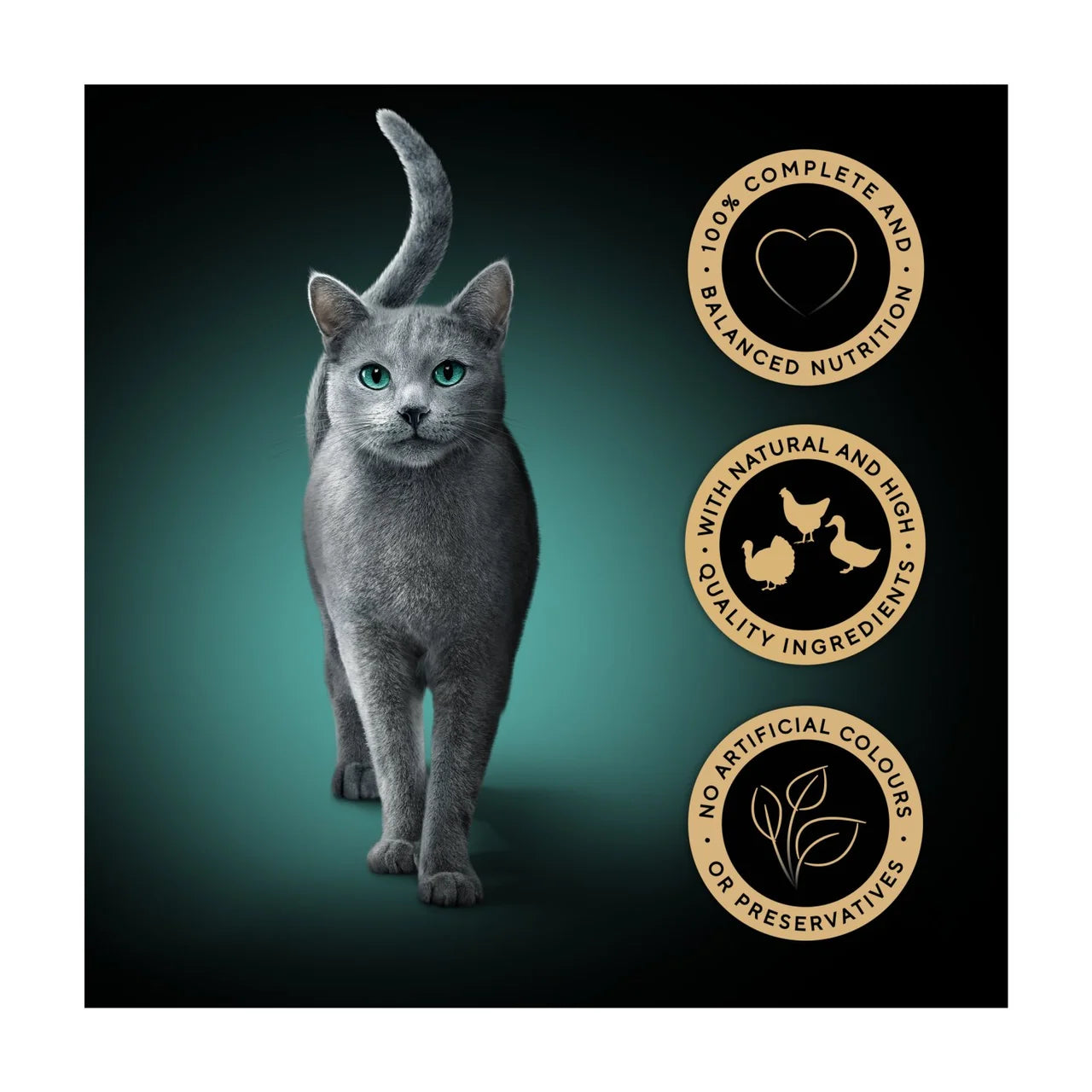 Sheba Fresh & Fine Wet Cat Food Pouches Poultry Collection in Gravy 50 x 50g