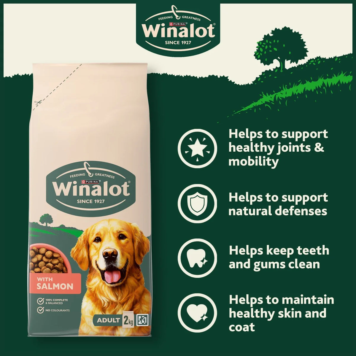 Winalot Adult Salmon Dry Dog Food 2kg