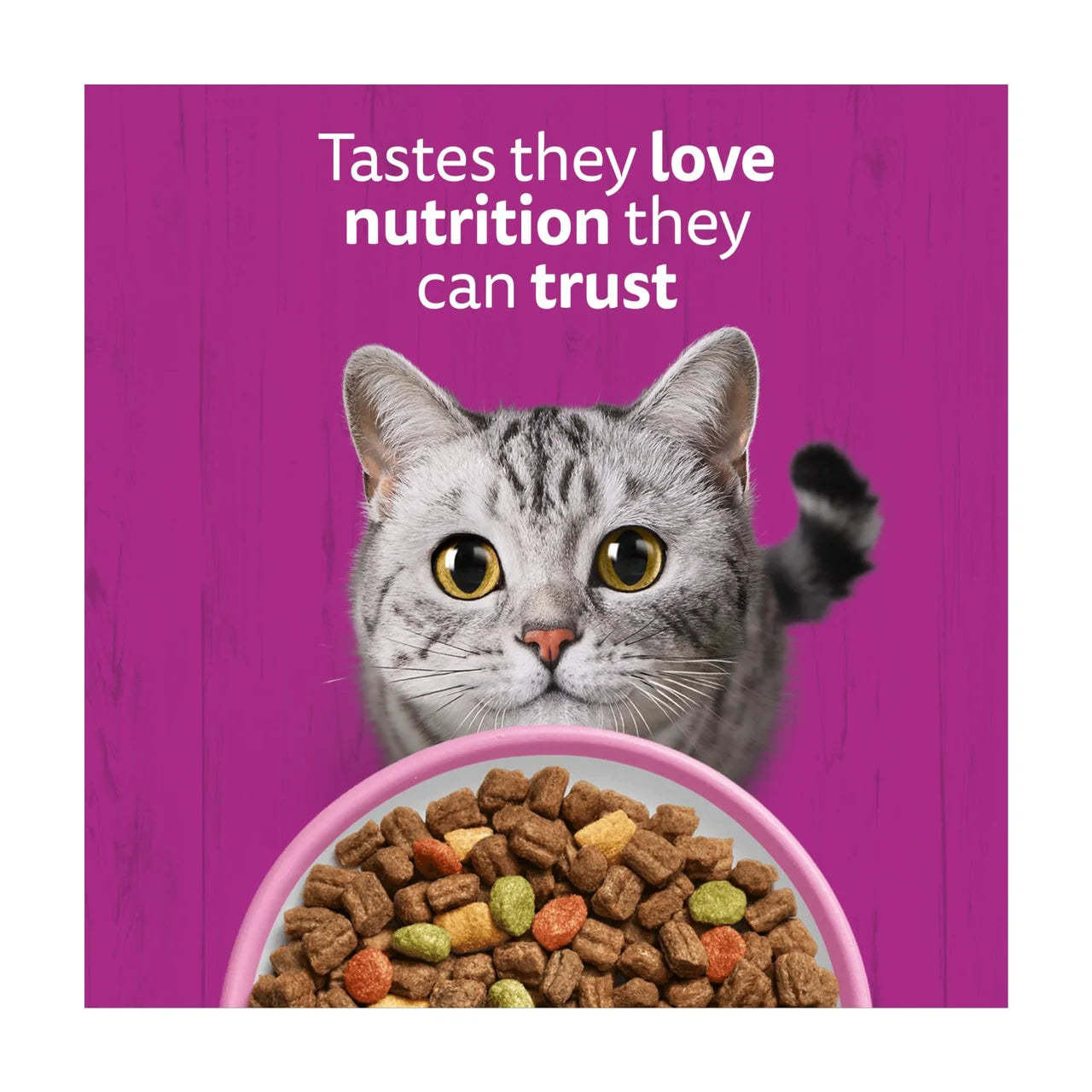 Whiskas 1+ Adult Dry Cat Food with Salmon 800g