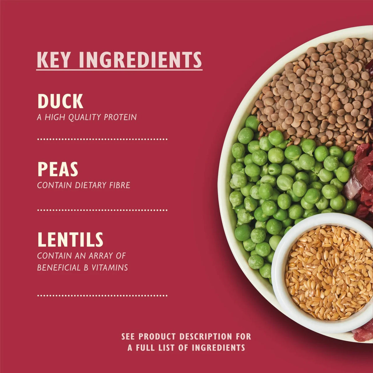Lily's Kitchen Dog Duck Salmon & Venison Wild Woodland Walk Adult Dry Food 1kg