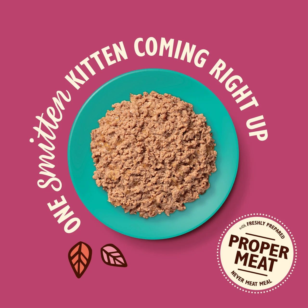 Lily's Kitchen Cat Smooth Chicken & Cod Pate for Kittens 85g