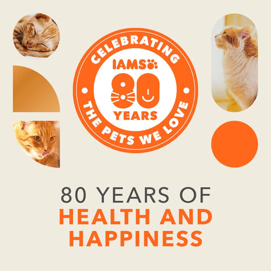 IAMS Advanced Nutrition Kitten Food Fresh Chicken 800g