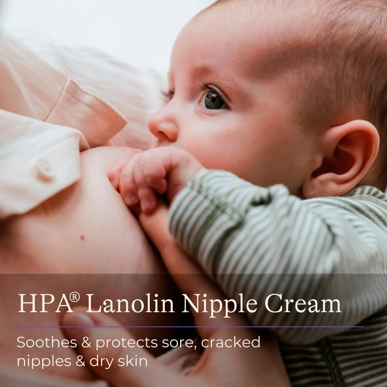 Lansinoh HPA Lanolin Nipple Cream 40ml