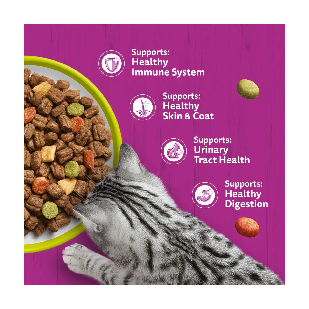 Whiskas 1+ Adult Dry Cat Food with Lamb 800g