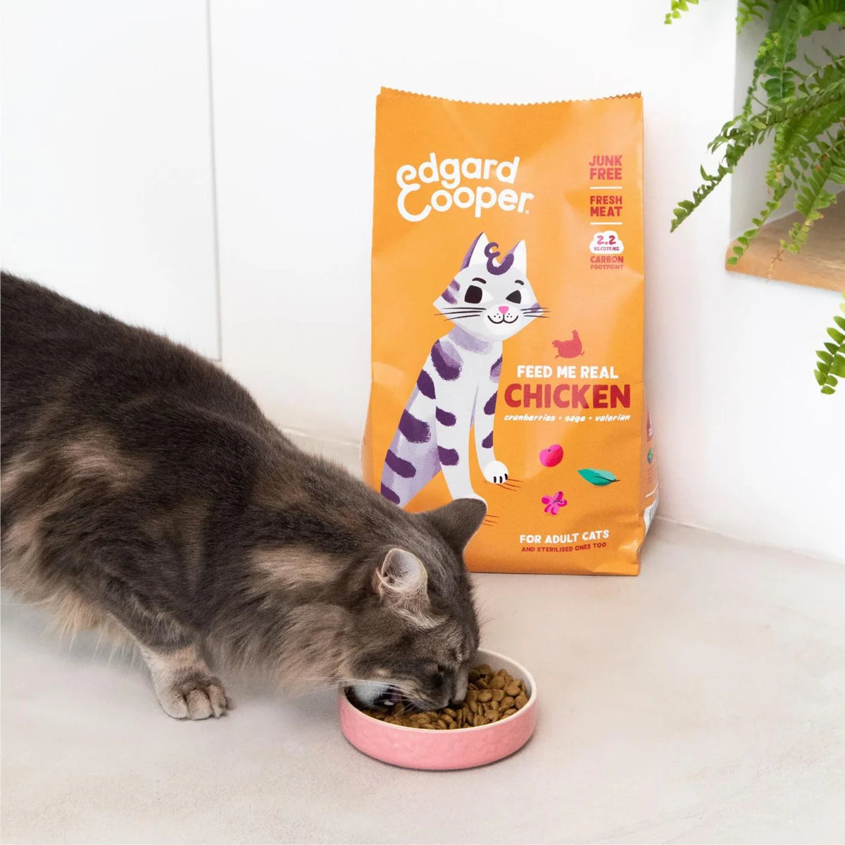 Edgard & Cooper Cat Dry Food Adult Chicken 2kg
