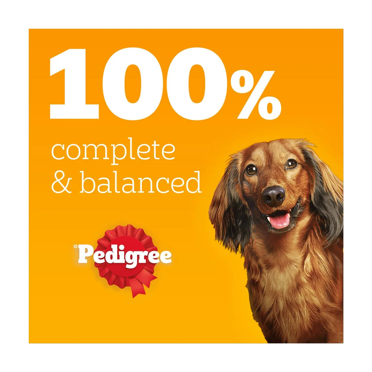 Pedigree Senior Wet Dog Food Pouches Mixed Selection in Jelly 40 x 85g