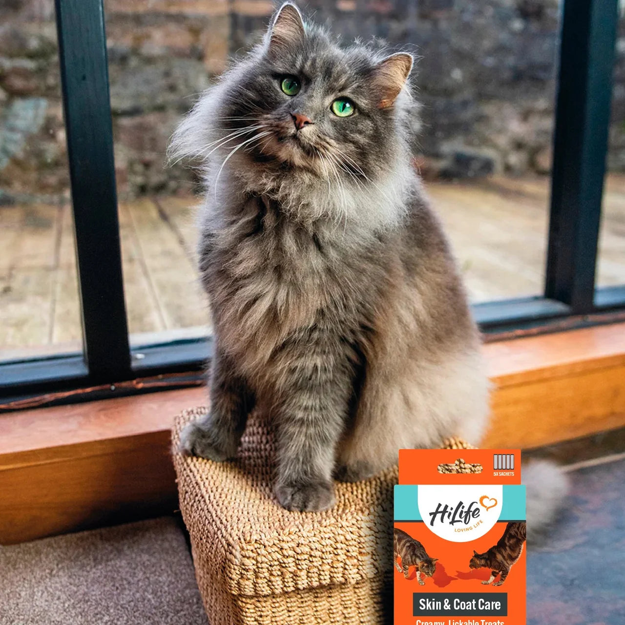 HiLife Functional Cat Licks Skin & Coat Care 5 x 15g