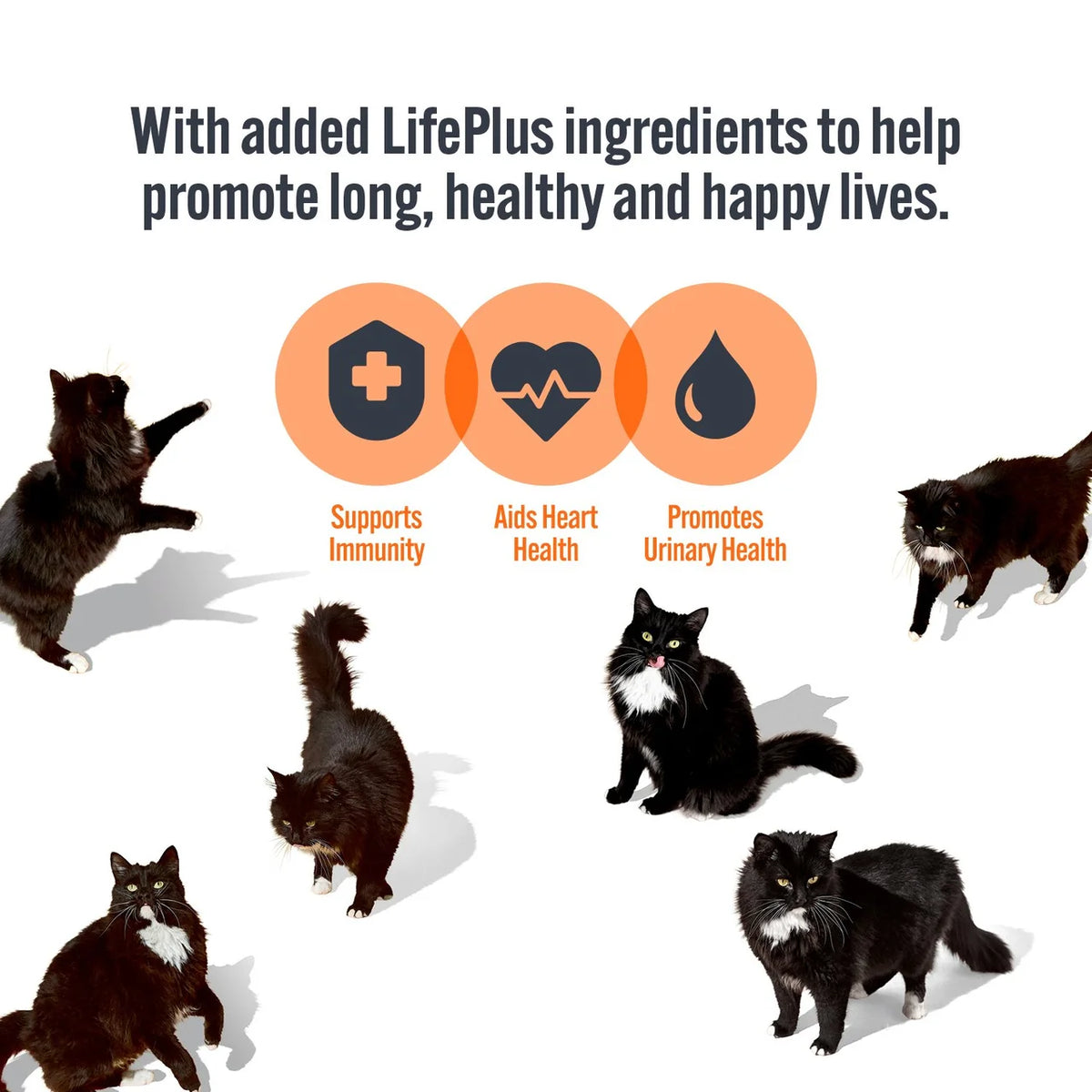 HiLife It's Only Natural Luxury Cat Food Meat Selection 12 x 70g