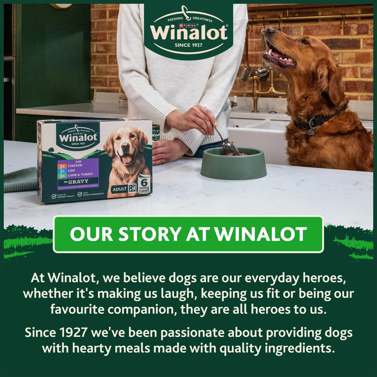 Winalot Classics Mixed in Jelly Chicken Wet Dog Food 12 x 400g