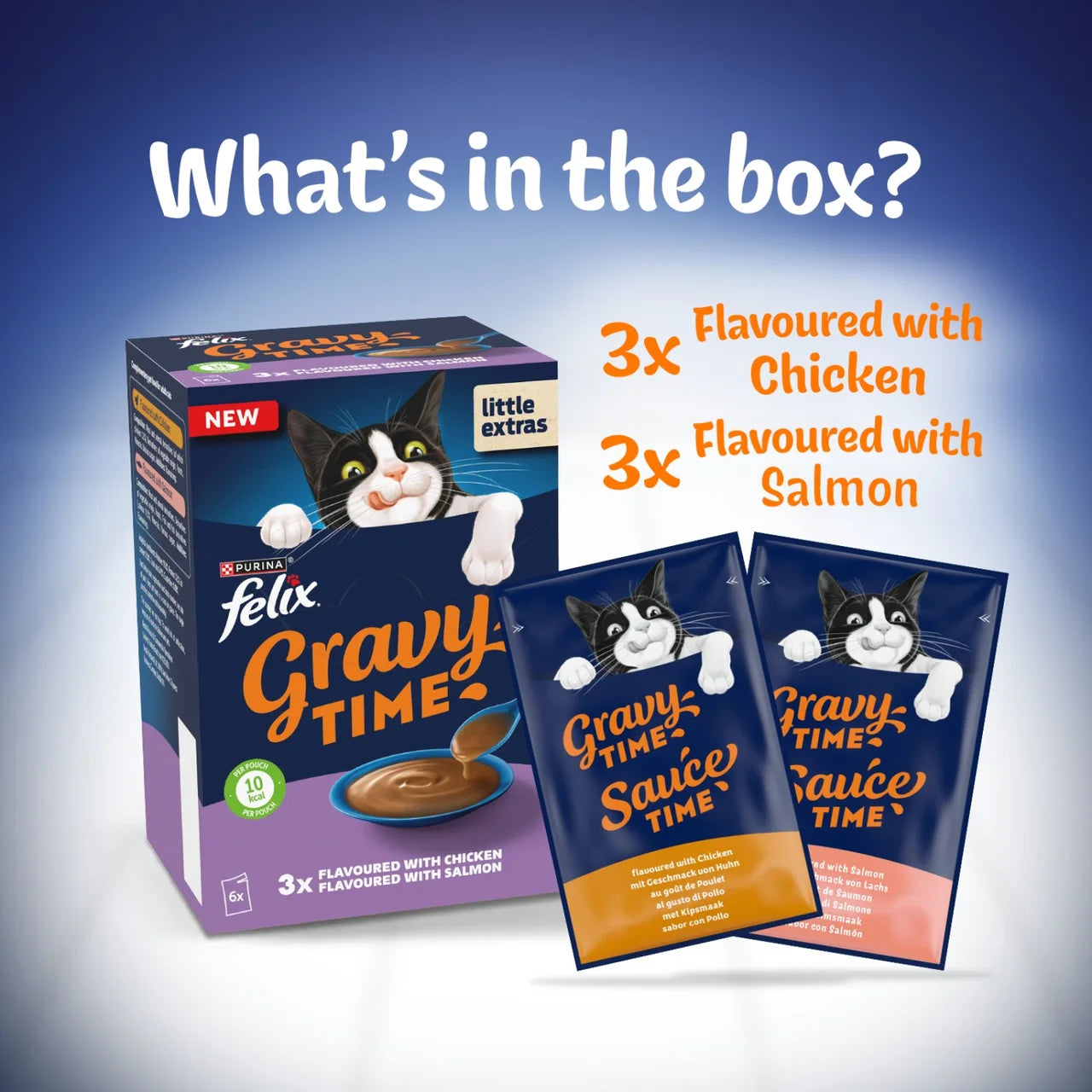 Felix Gravy Time Chicken and Salmon Wet Cat Food 6 x 40g
