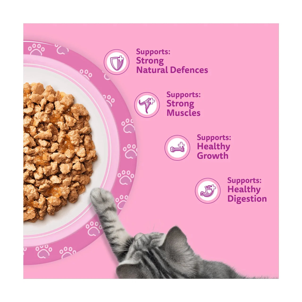 Whiskas Kitten Fish Favourites Wet Cat Food Pouches in Jelly 12 x 85g