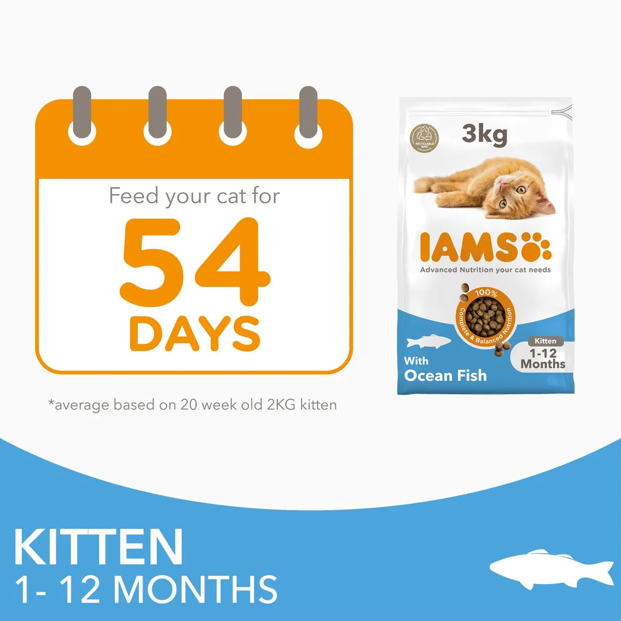 IAMS 1-12 Months Kitten Dry Cat Food Ocean Fish 3kg