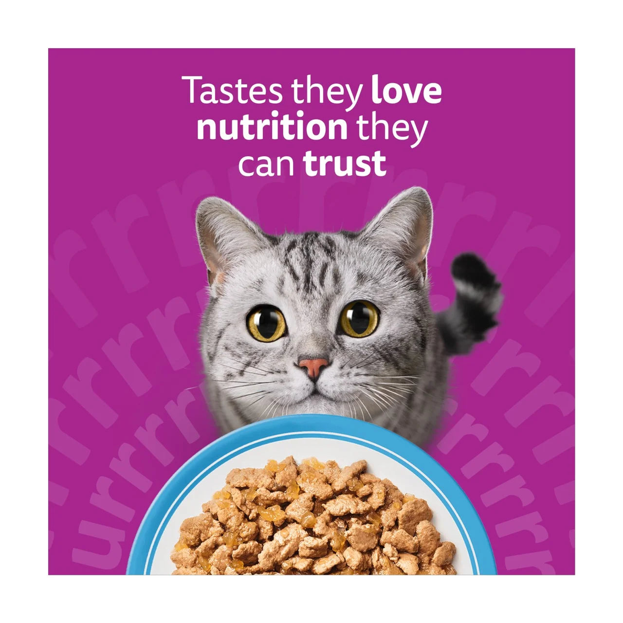 Whiskas 1+ Adult Wet Cat Food Pouches Fish Favourites in Jelly 80 x 85g