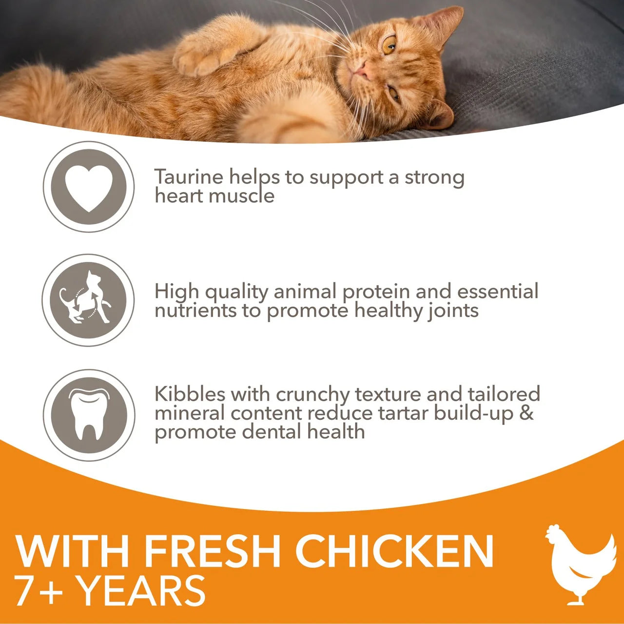 IAMS Advanced Nutrition Senior Cat Food With Fresh Chicken 800g