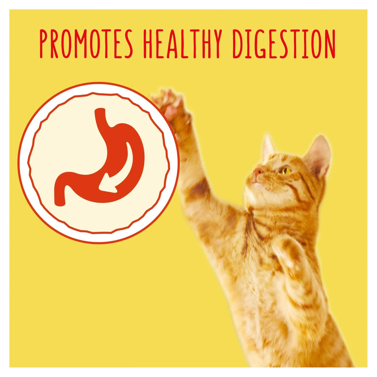 Go-Cat Chicken and Turkey Dry Cat Food 320g